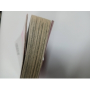 เจ้าสาวซาตาน THE BRIDE OF THE DEMON 5 **รบกวนเลื่อนดูสภาพหนังสือก่อนการสั่งซื้อ**